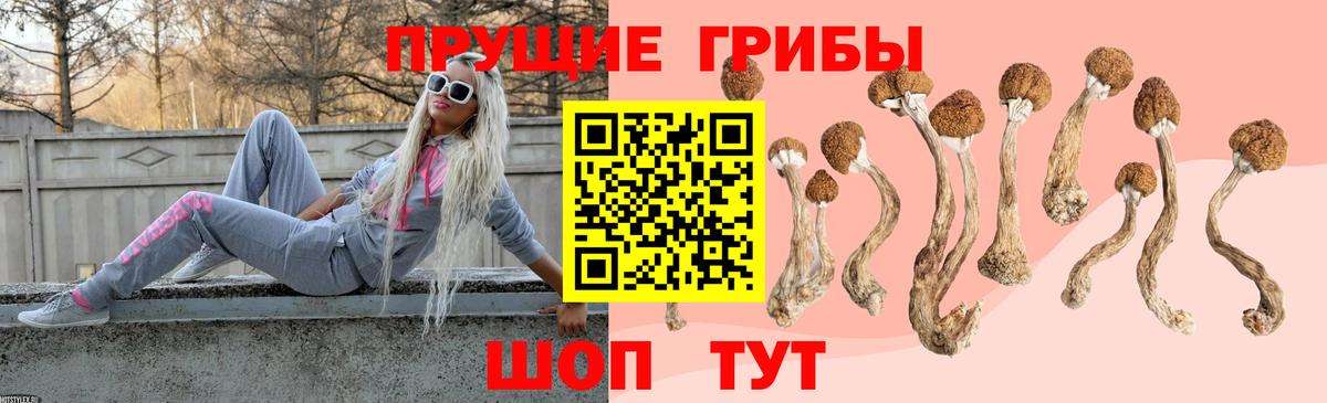 Галлюциногенные грибы GOLDEN TEACHER Верхняя Салда
